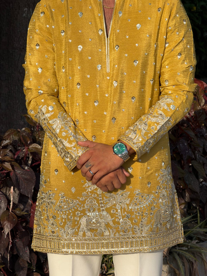 Regal Embroidered Kurta